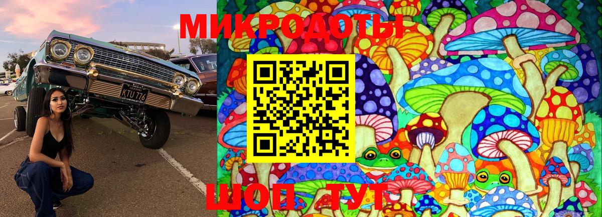 Аша  Галлюциногенные грибы Cubensis  Вход с VPN 