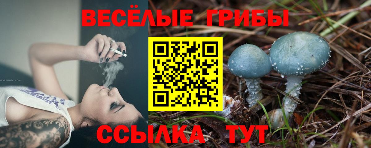Псилоцибиновые грибы MAGIC MUSHROOMS Аша